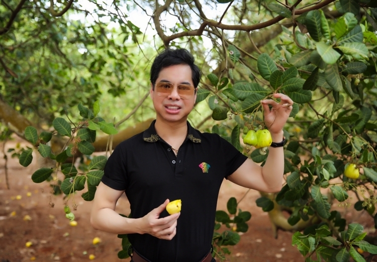 Khu vườn trồng nhiều loại cây ăn trái như điều (đào lộn hột), bơ, sầu riêng, mít, chuối... Ca sĩ cho biết vì diện tích khu đất khá rộng, anh phải thuê người làm vườn và trông nom.